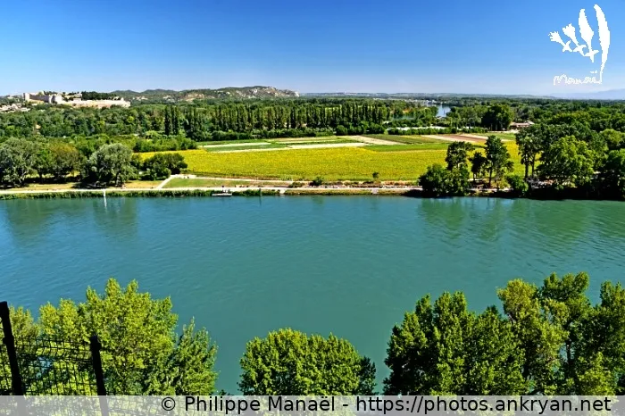 Parc de l'île de la Barthelasse
