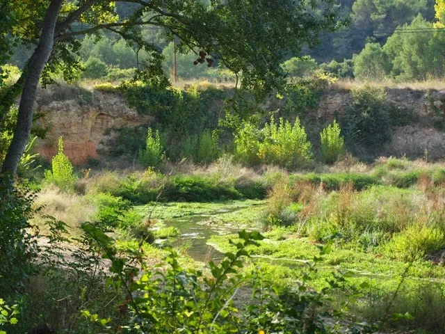 Parc de l'Albereda
