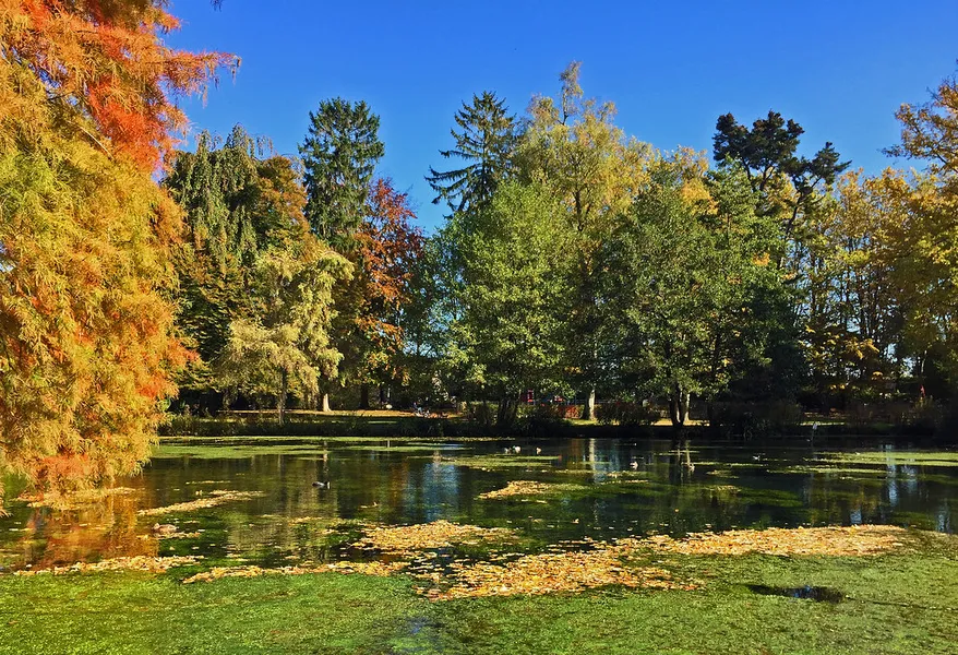 Parc de la Bouzaise
