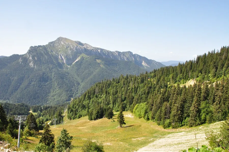 Parc de la Chartreuse