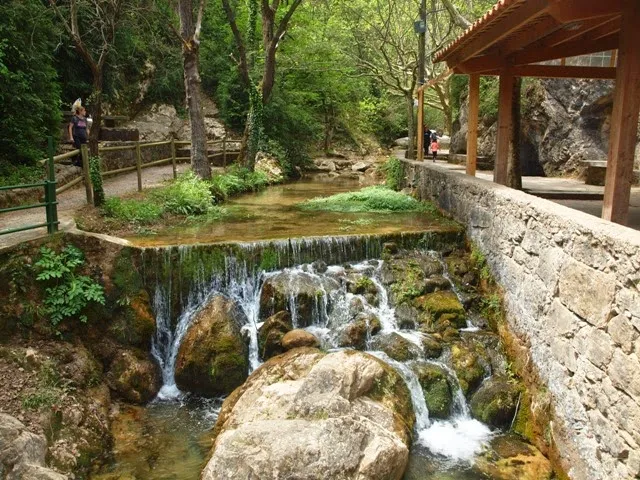Parc de la Font del Bosc