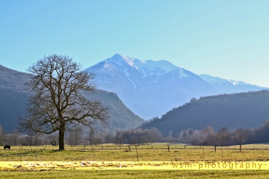 Parc des Olivetains