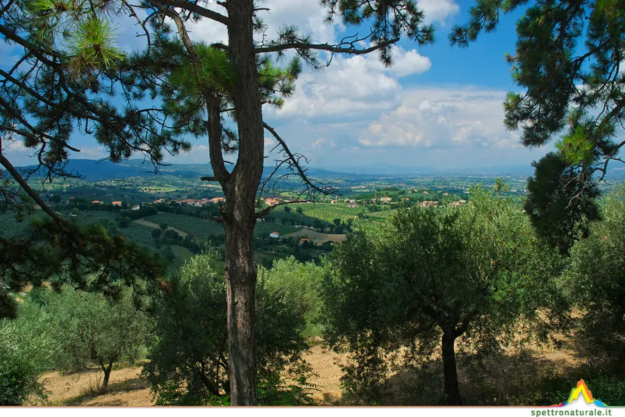 Parco Acquarossa