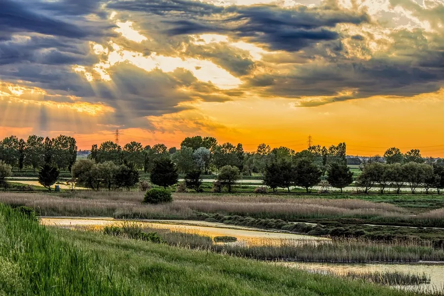 Parco del Delta del Po