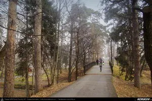 Parcul Sub Arini