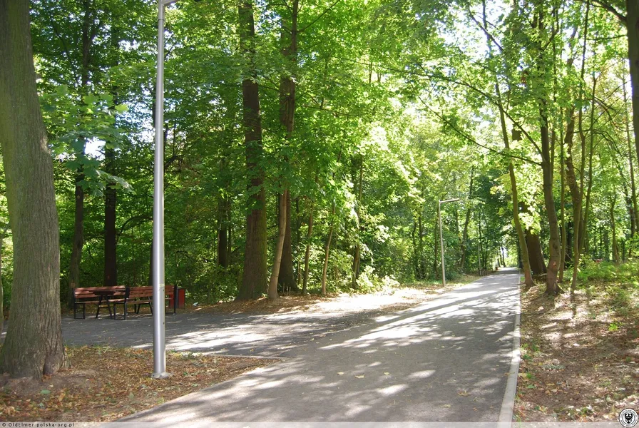 Park Miejski w Świdwinie (City Park)