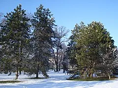 Park Perivoj Zrinskih