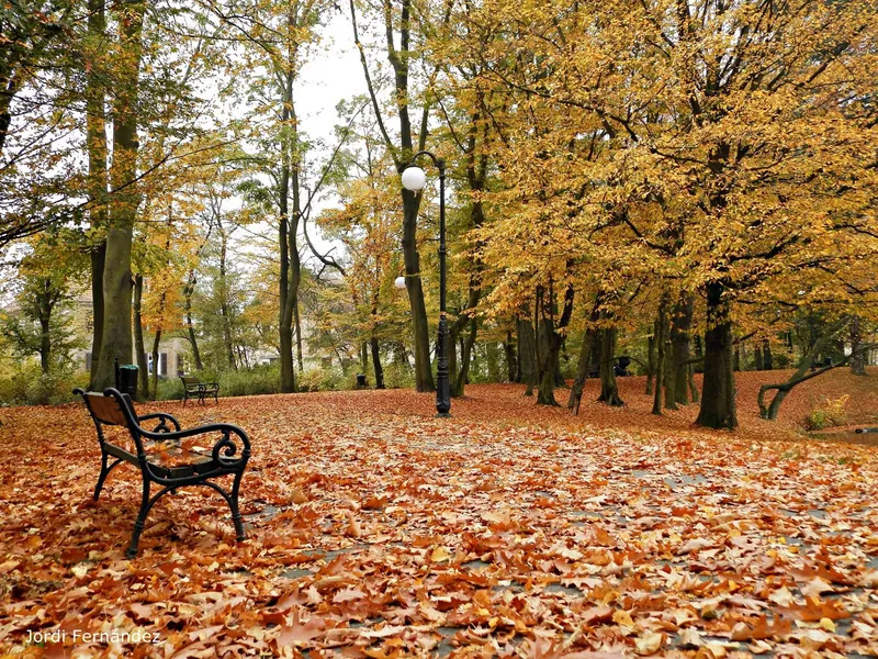 Park Sołacki
