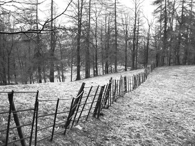 Park Walk