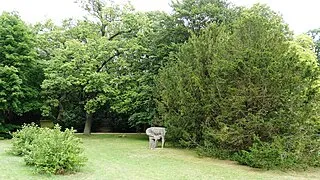 Park Zdrojowy