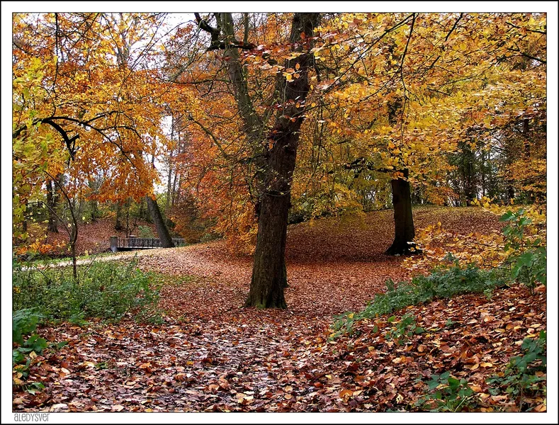 Park de Wezenlanden