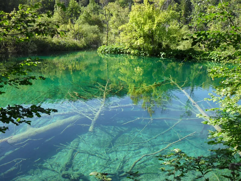 Park-forest Golubinjak