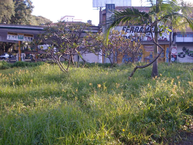 Parque Adhemar de Barros