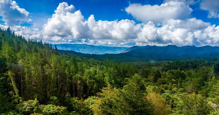Parque Arvi
