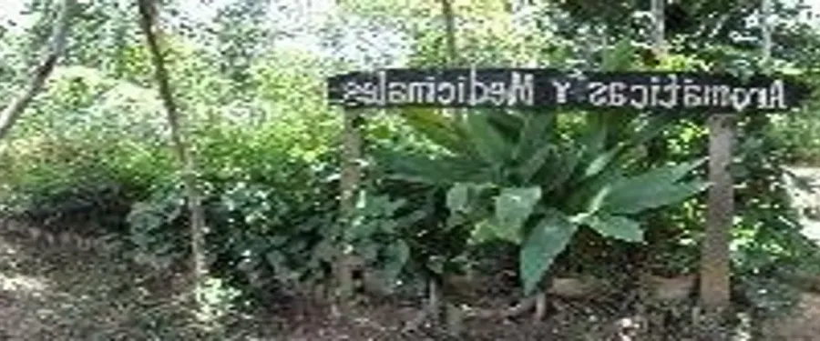Parque Ecológico Mundo Amazónico