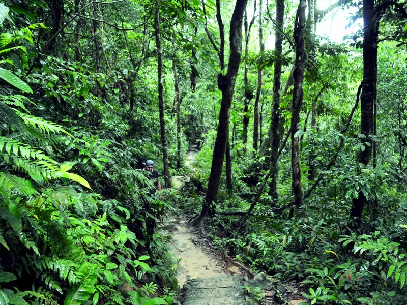 Parque Ecoturistico Machia