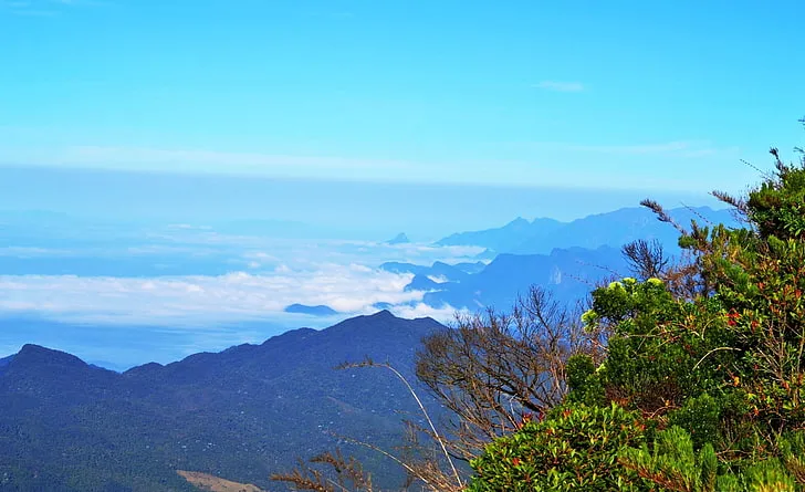 Parque Estadual dos Três Picos