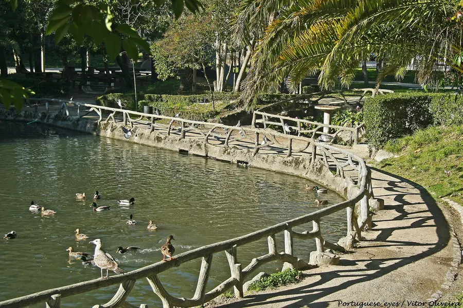 Parque Infante Dom Pedro