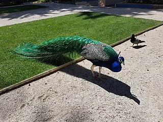 Parque Marechal Carmona