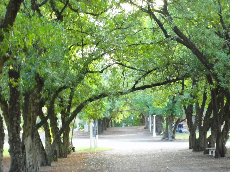 Parque Miguel Lillo
