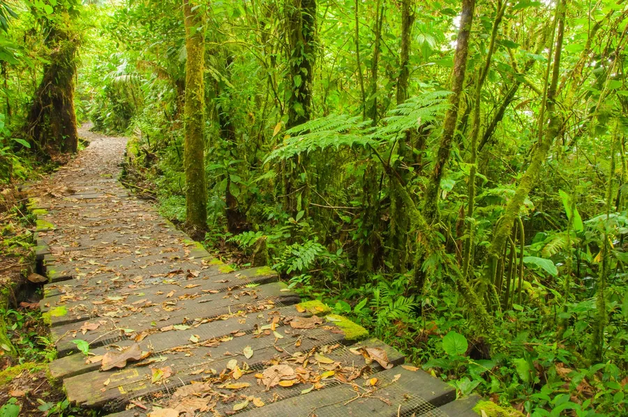 Parque Nacional