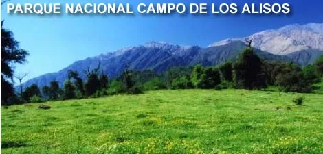 Parque Nacional Campo de los Alisos