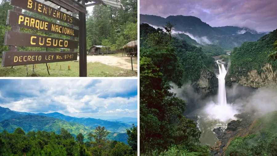 Parque Nacional Cusuco