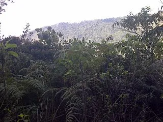 Parque Nacional Henri Pittier