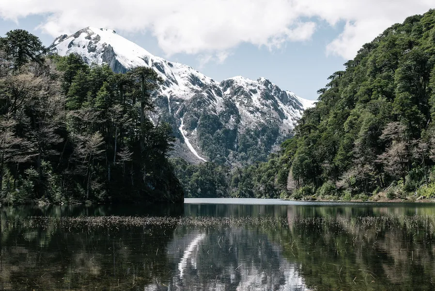 Parque Nacional Huerquehue