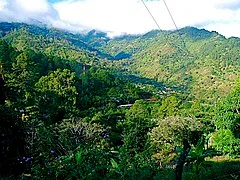 Parque Nacional La Tigra