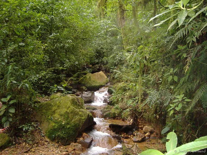 Parque Nacional La Tigra (Access Point)