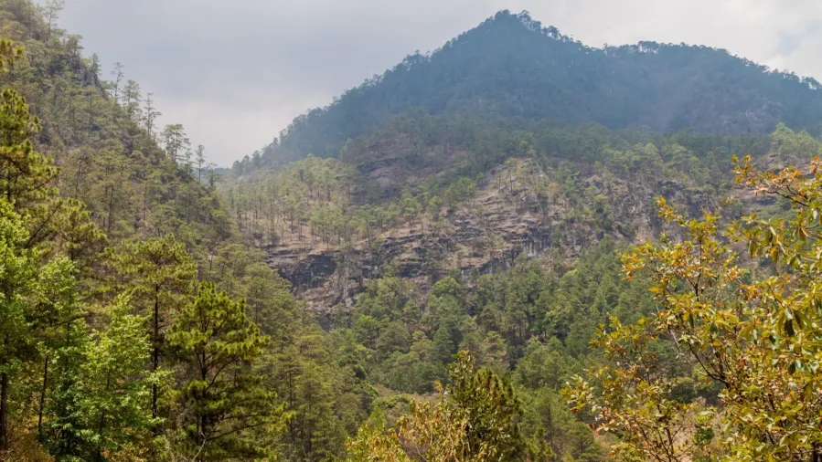 Parque Nacional Montaña de Celaque