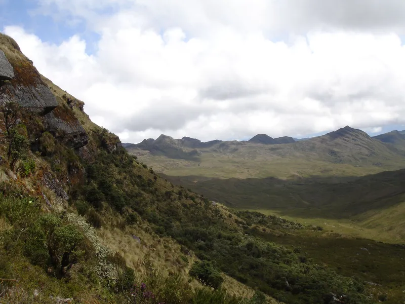 Parque Nacional Natural Chingaza