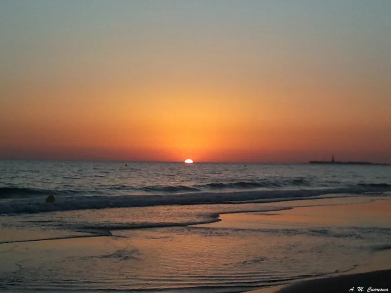 Parque Natural Bahía de Cádiz