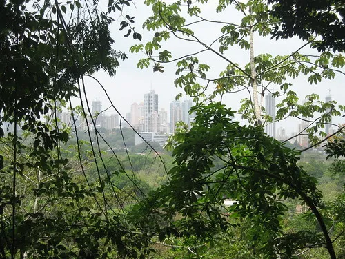 Parque Natural Metropolitano
