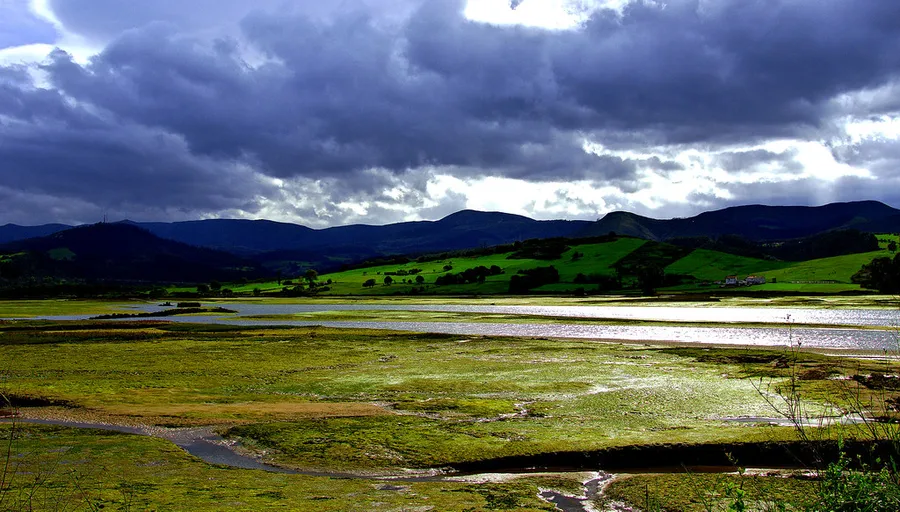 Parque Natural de Oyambre