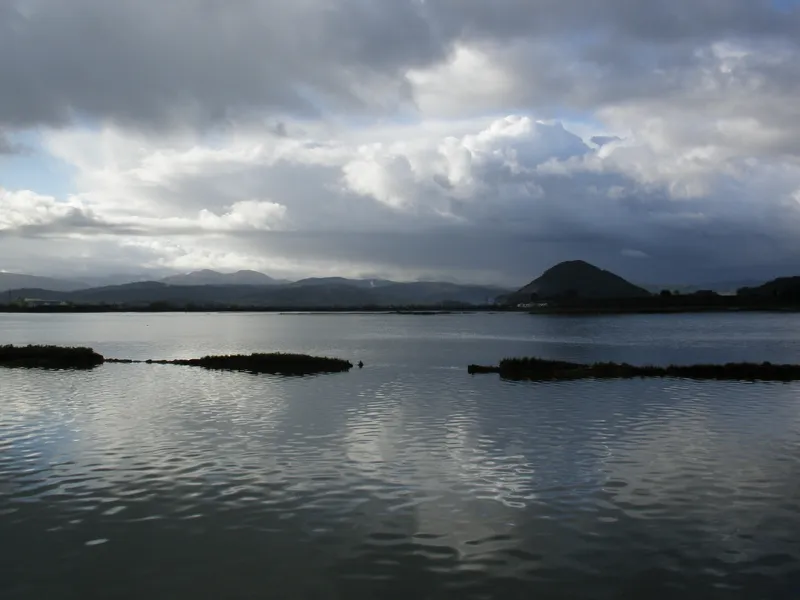 Parque Natural de las Marismas de Santoña, Victoria y Joyel