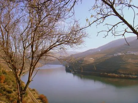 Parque Natural do Douro Internacional (near Sabugal)