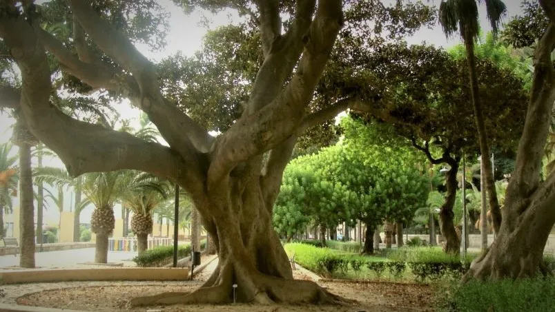 Parque Nicolás Salmerón
