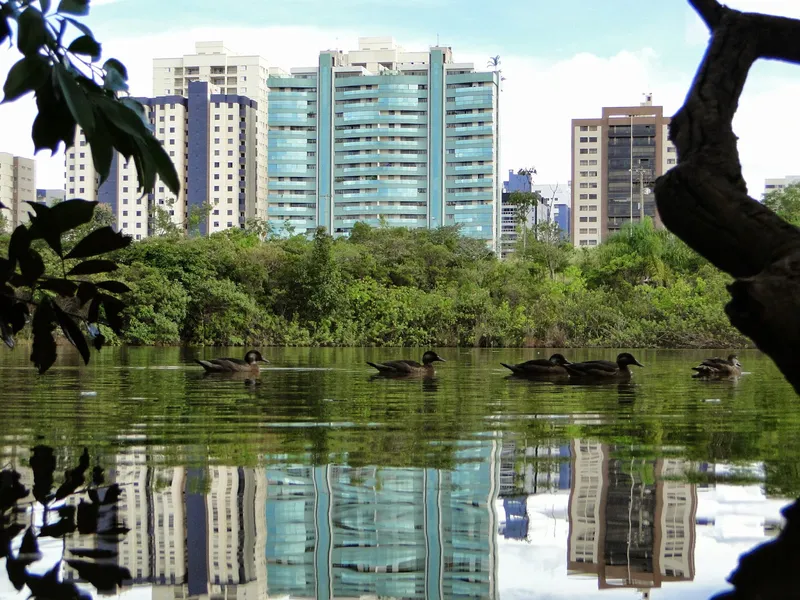 Parque Principal de Aguas Claras