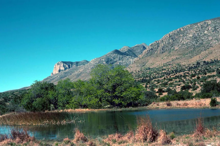 Parque Principal de Guadalupe