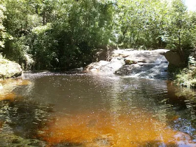 Parque Regional Laguna Indio Muerto