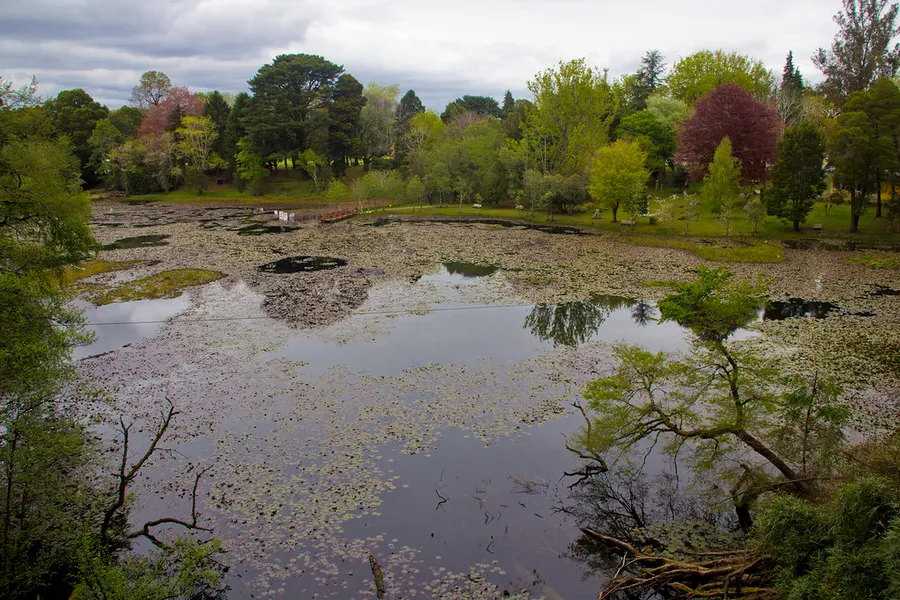 Parque Saval
