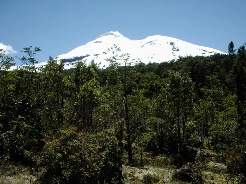 Parque Werner
