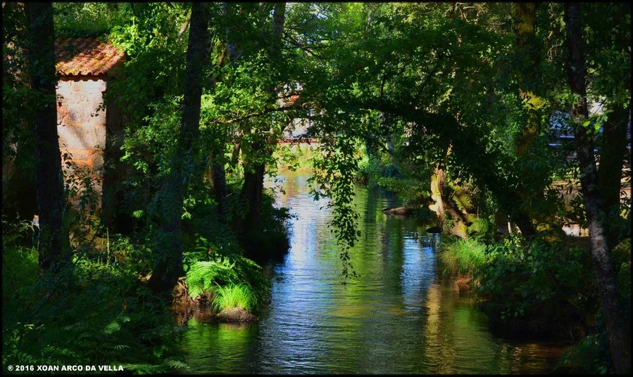 Parque das Caldas