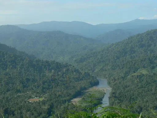 Parque de Guararé
