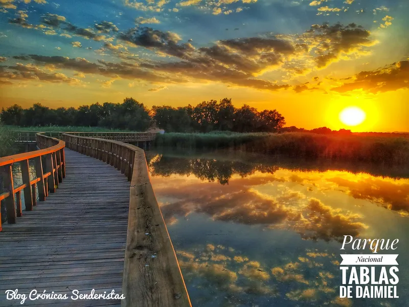 Parque de Las Tablas