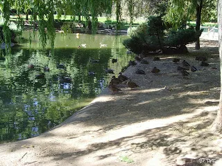 Parque de Quevedo