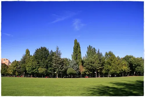 Parque de la Alameda de Cervantes