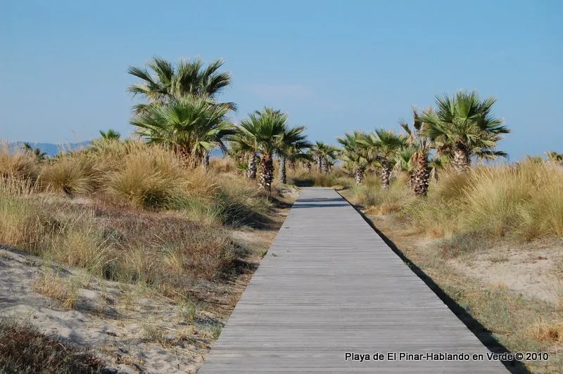 Parque del Pinar